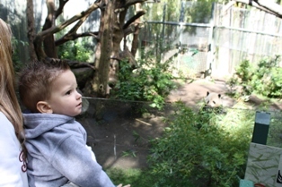 Zoo 04