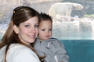 Zoo 11