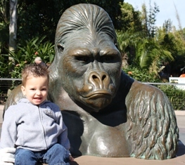 Zoo 03