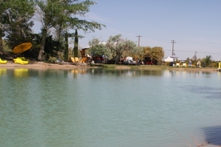 Mojave Oasis